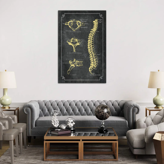 Bones of the Spine by ChartSmartDecor - Graphic Art Print on Canvas