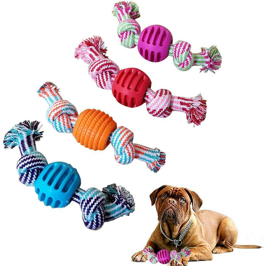 Dog chew toy