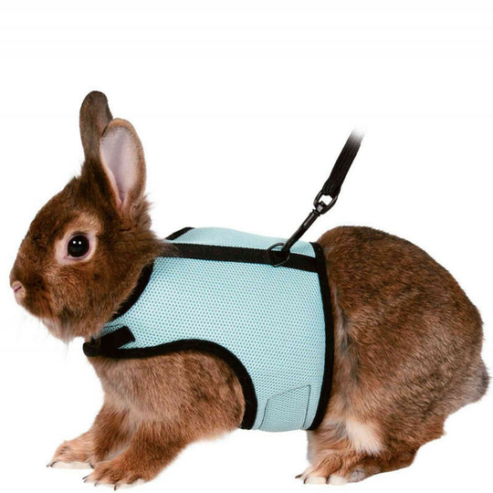 Soft strap with leather belt-blue-for rabbits, size l