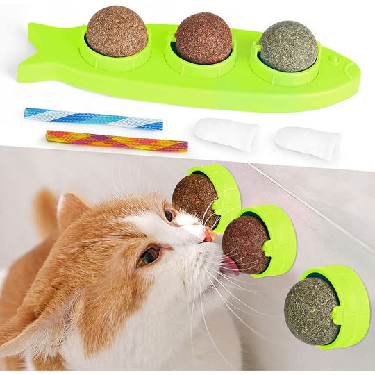 Catnip Balls, Edible Rotating Balls for Licking Blight and Nuts, Indoor Chewing Ball with Pet Toothbrush and Interactive Spring-Load Toy for Dog