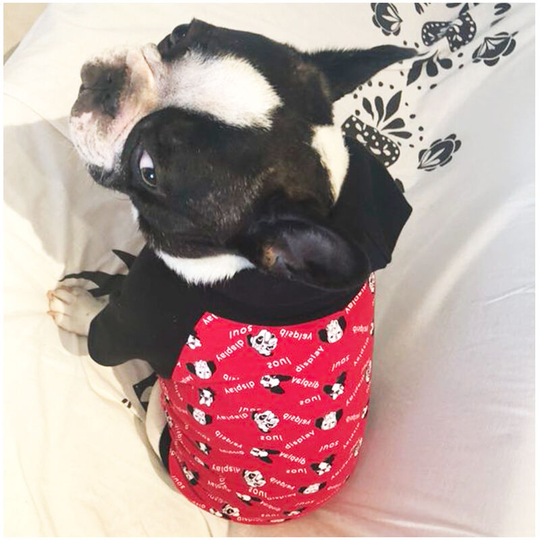 French dog printed hooded sweatshirt small and medium-sized dog clothes dog thickened fleece clothes autumn and winter, suitable for small and large