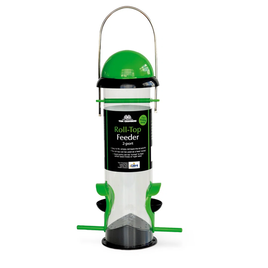 Arleen Decorative Bird Feeder