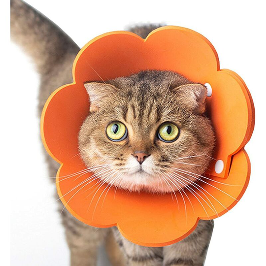 Pet Collars Anti-licking Cat Collars Adjustable Lightweight Protective Collars Elizabethan Cat Collars Size 19cm-26cm