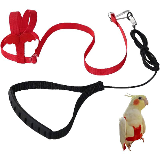 Perle Rare - Adjustable Parrot Harness Bird Harness Outdoor Fly Training Leash Anti-bite Leash Elastic Band for Birds Parrots Cockatoos Macaws (l)