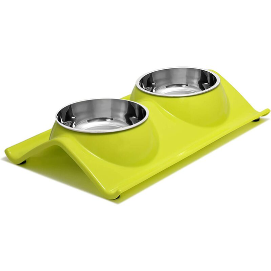 Double Dog Cat Bowls Premium Stainless Steel Pet Bowls No-Spill Resin Station, Food Water Feeder Cats Small Dogs green
