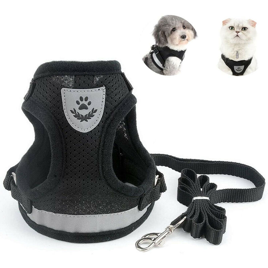 Devenirriche - Cat Harnesses for Adult, Collars, Harnesses and Leashes for Chihuahua Cats, Kitten Harness, with Anti-Lost Address pendant and Bells