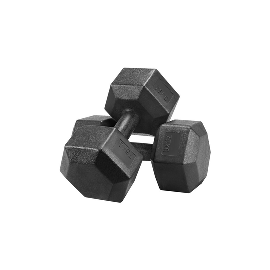 (15.0 Kilograms) Yaheetech Dumbbells Set Arm Hand Weight Dumbbell