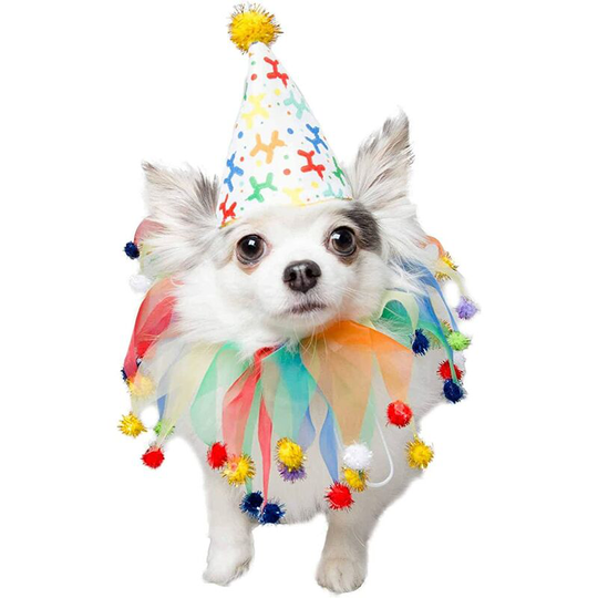Pet Dog Happy Birthday Hat & Collar Outfit | 1st Bday Party Costume, National Cat Day, Photo Shoots & Celebrations | Doggie & Puppy Clothes | Ideal