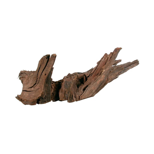 Mangrove Natural Root Kamuran