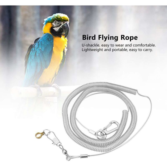 6M Parrot Bird Anti-bite Fly Training Rope Leash Kits For Agapornis Fischeri Cockatiels Starling Birds (8.5MM)