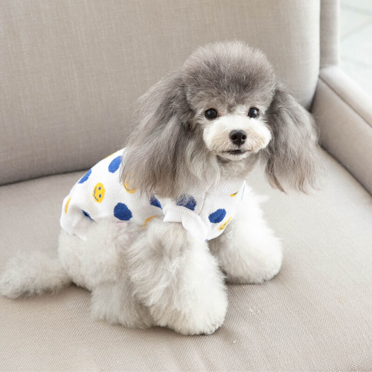 Benobby Kids - Cats dogs Bichon Teddy pet clothes autumn and winter models spring and autumn clothing sweater warm small dogs puppies teacups m