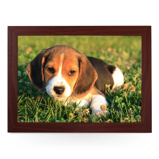 Beagle Puppy Serving Tray