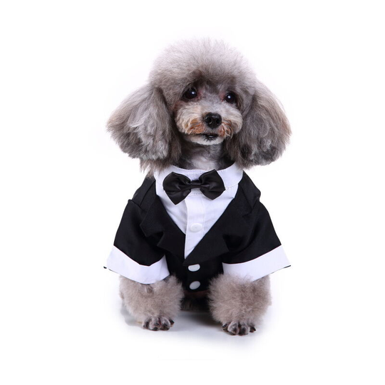 Pet dog clothes dog suit small dog fashion striped dress party tuxedo wedding ceremony clothes white and black spell suit black bow tie M