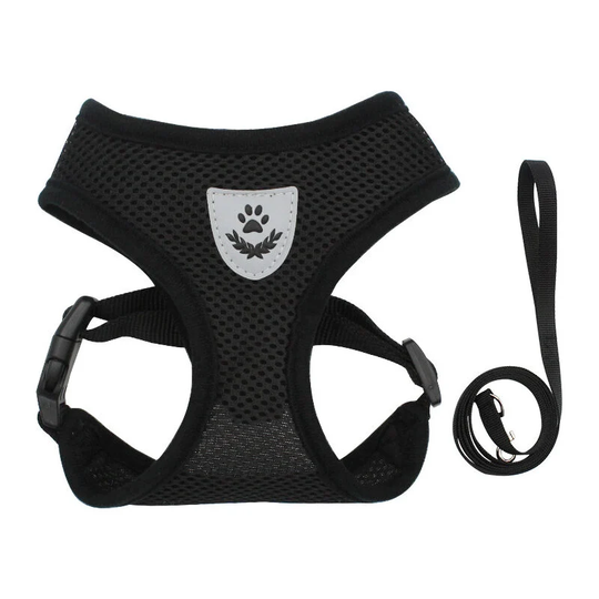 Gdrhvfd - Black, s Dog Car Vest Seat Belt Set, Adjustable Pet Harness with Seat Belt, Breathable Double Mesh Cloth Harness for Small, Medium and