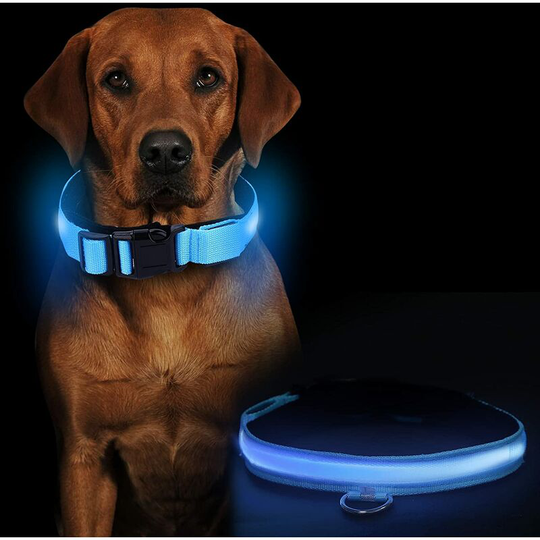 LED Dog Collar, Adjustable Dog Collars, USB Rechargeable Glowing Pet Collar, Reflective Pet Collar for Night Walking Pets, Blue
