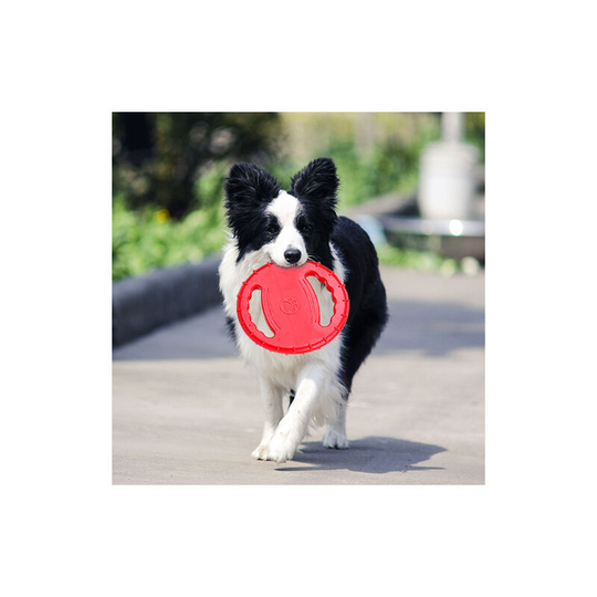Rubber floating dog toy / Frisbee, blue, 1pcs