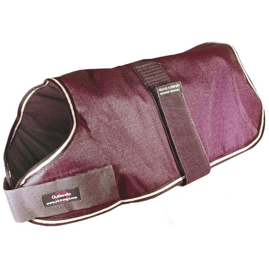 The Animate Company Outhwaites Waterproof Padded Coat (41cm) (Maroon) - Maroon