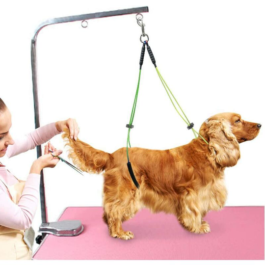 Pet Grooming Table Rope Pet Grooming Leash Neck And Hock Holder Dog Grooming Buckle