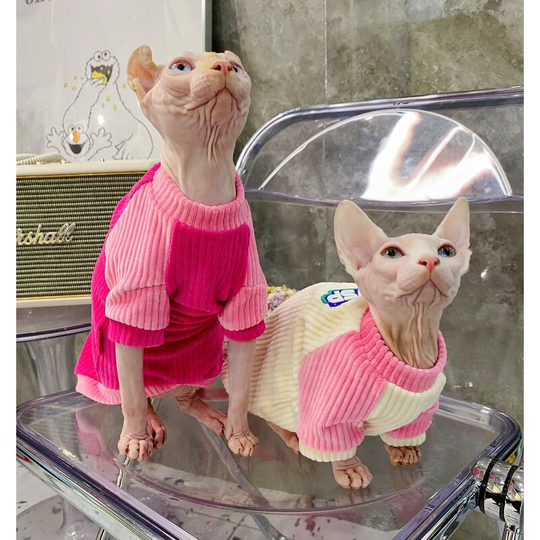 Cream is only hairless cat early fall model Sphinx Devon Conis all cat breed universal cat clothes M (chest 30", neck 18", back 29" suitable for