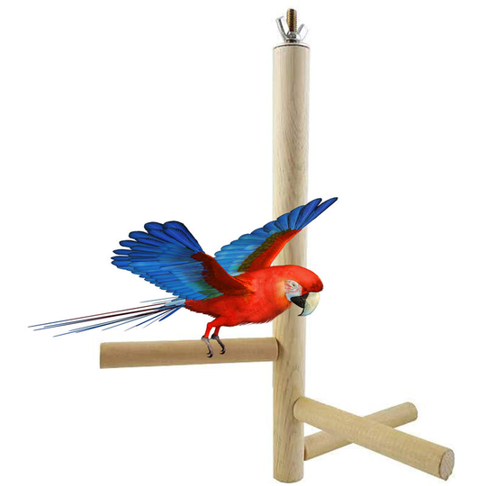 Bird Training Stand Bird Playstand Bird Perch Stand Bird Cage Toys,model:Beige
