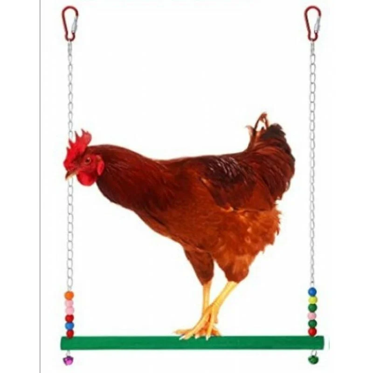 Chicken Swing - - Toy Chicken - Parrot Macaw Chickens - Swing Ladder - for Chickens and Parrots - Round Stick
