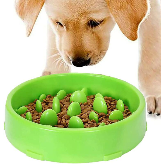 Slow Feeder Bowl for Dogs, Anti Glutton Bowl for Dog Cat, Promotes Healthy Eating and Slow Digestion (Green)