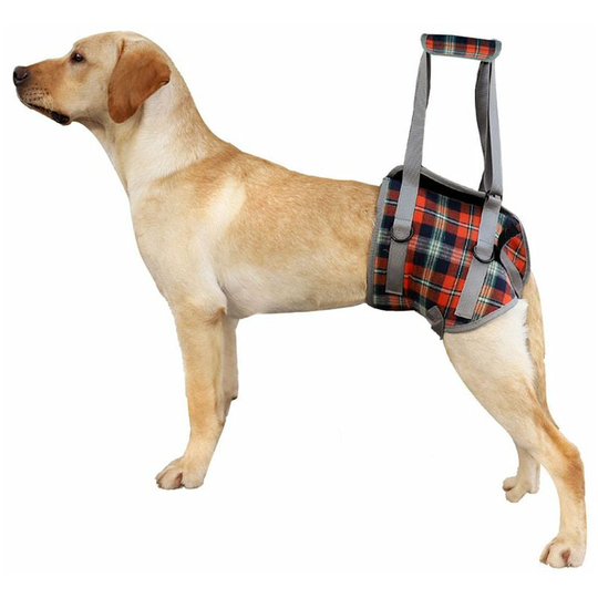 Bearsu - Adjustable Dog Support Harness Disabled Dog Harness for Hind Legs, Mesh Lifting Harness with Handle for Canine Aid Rehabilitation, Senior,