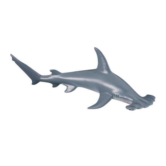CollectA Scalloped Hammerhead Shark