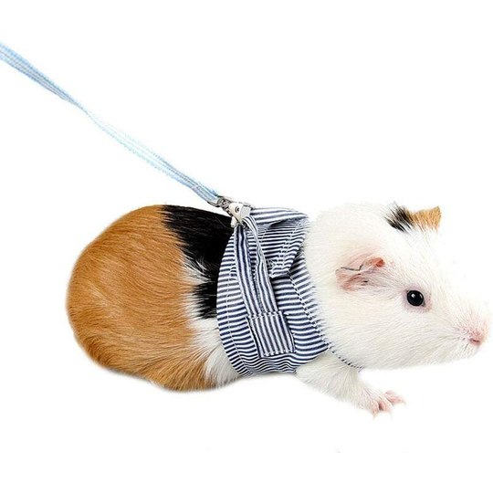 Soft Cotton Adjustable Harness and Leash Set for Rabbits Guinea Pigs for Rats Iguana Hamster Ferrets Small Animal