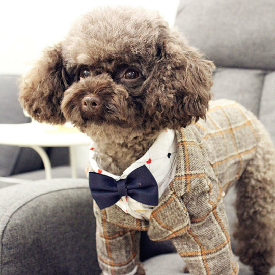 Autumn and winter new dog suit dress suit m (chest - 40 'back length 27' neck circumference 30, suit - khaki)