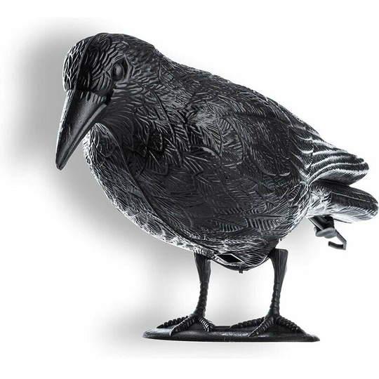 Black Crow, Pigeon Repeller and Plastic Pigeon Repeller, Bird Repeller, Natural Pest Control, Protection Against Annoying Birds