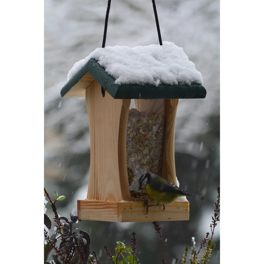 Anasophia Feeding Station
