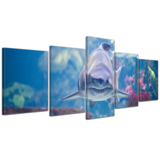 Shark III 5 Piece Photographic Print on Canvas Set