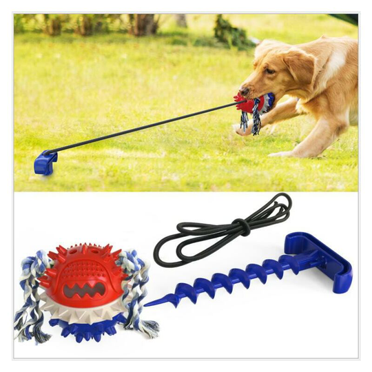 Dog Tooth Molar Tug of War Toy Outdoor Bite Resistant Pet Chew Balls Elastic Dog Rope Toy with Food leakage Function Ground Stake Puzzle Toys (Blue)1