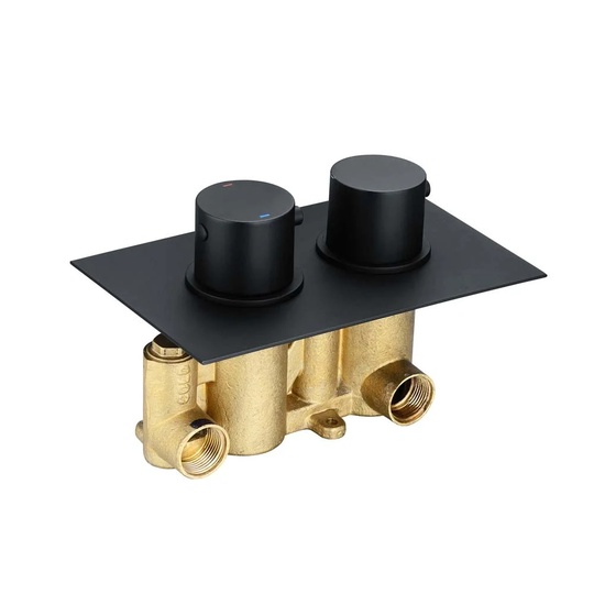 Ernbiorn Double Concealed Thermostatic Shower Valve