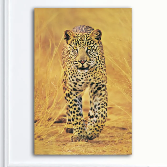 Cheetah The Big Cat Photographic Print on Wood