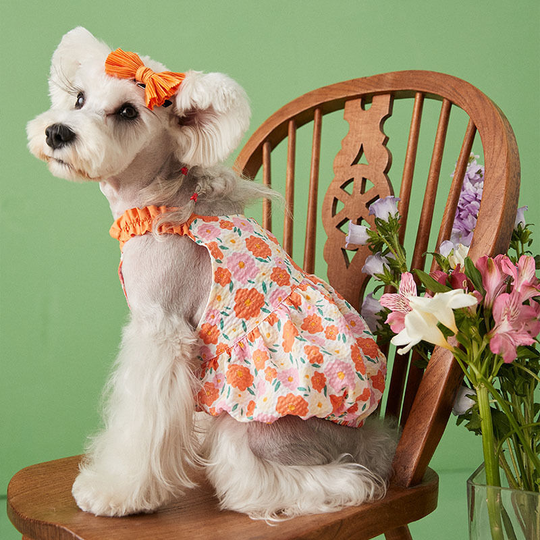 Pet Puppy Girl Dress Dog Strap Beach Style Puppy Bath Set Pet Clothes Clothes Pet Summer Gift Tropical Style Breathable Bitch Sling Dress Orange