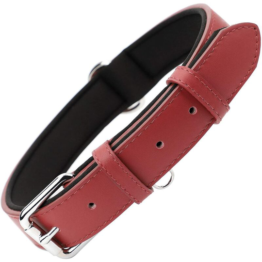 Adjustable dog collar, soft cushion, padded leather with perforations, Red-L-Suitable for dogs from 20 to 40 kg