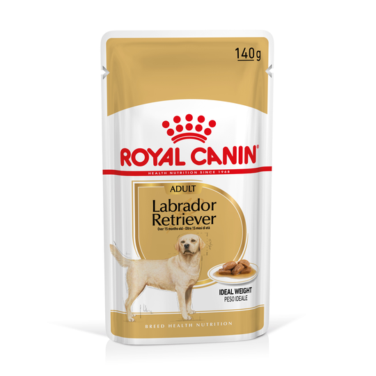 Royal Canin Labrador Retriever Adult - Complementary: Royal Canin Breed Wet Labrador Retriever (20 x 140g)