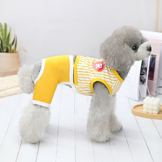 Trendy models vertical strip splicing four-legged pants dog clothes Teddy Pomeranian small and medium-sized dogs spring and summer new pet clothes