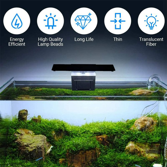 Aquarium Lighting LED 5W Clip-on Freshwater or Marine Plant Light, Aquarium Lighting Waterproof Fish Tank Lighting (White Light)