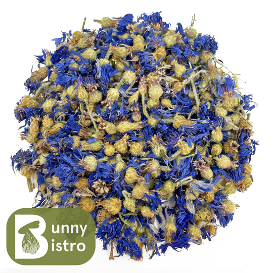 (100g) Dried Blue Cornflowers - Whole Flowers, Tortoise Food, Reptile Food