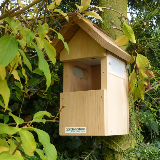 Guro Mounted Bird House