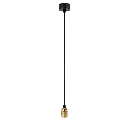 Bi 1 -Light Bulb Pendant with Wrought Iron Accents