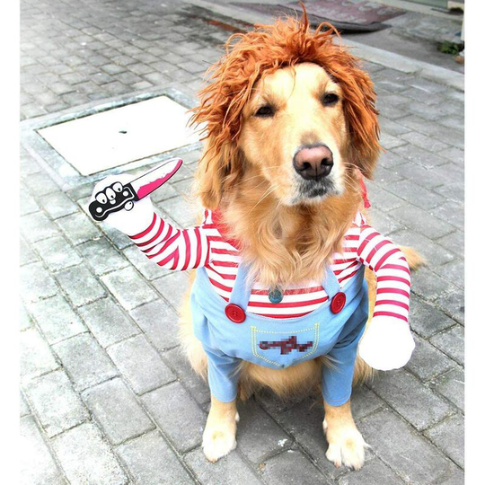 Dog Costume Animal Party Costume Cosplay Pet Costume L A
