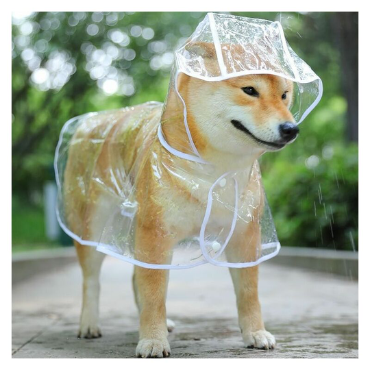 Waterproof coat for small dogs and cats, with hood, adjustable, in pvc, transparent, and ultra-lightweight - white edge m