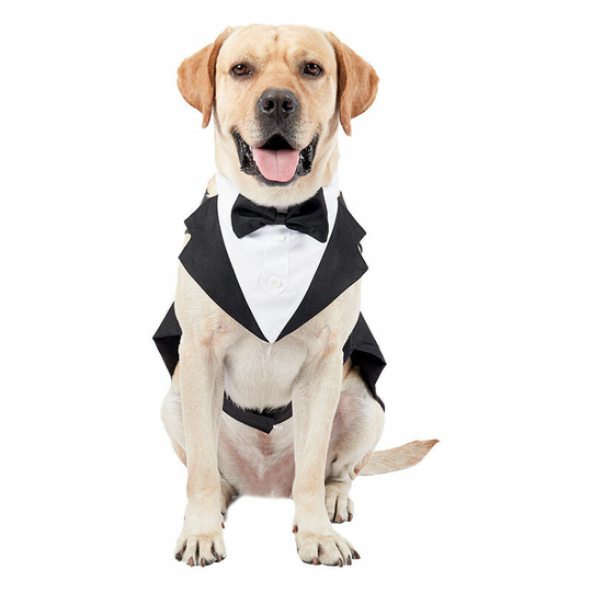 Kartokner - back 35', suitable for weight 5 pounds, blackchest 42-53', neck 32-38', back 35', suitable for weight 5 pounds, black blackPet wedding
