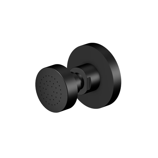 Side Shower