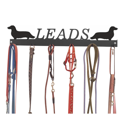 Alsdorf Wall Mounted Coat Rack