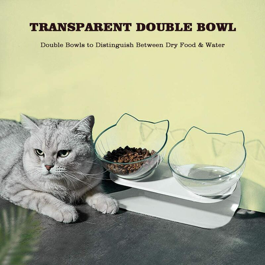 Aougo - Double Cat Bowl with Raised Stand, 15° Tilted Transparent Cat Food and Water Bowl, Adjustable Platform Cat Feeder Detachable Pet Feeding Bowl